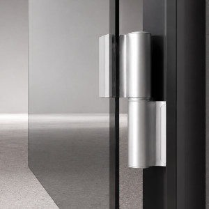 Hinges for all-glass doors