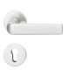 Handle set on round roses PZ, DB 39-58 mm, aluminium F1