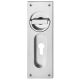 Flush ring handle for sliding doors, PZ, alum. F1