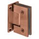 Hinge for glass doors IN.05.307.TCO with T-shape fastener, wall/glass, satin st. steel PVD titanium in copper tone