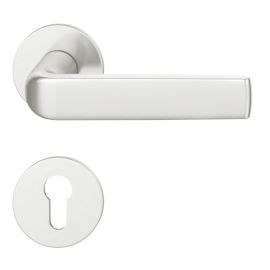 Door handle with flush-mounted roses FSB AFL® 16 1267 1735 ALU