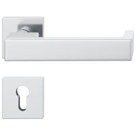 FSB 79 1074 Rokturu garnitūra ar kantainām rozetēm ugunsdrošām evakuācijas durvīm, nerūsējošais tērauds matēti slīpēts