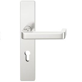 FSB 79 1134 Rokturu garnitūra ar kantainām uzlikām ugunsdrošām evakuācijas durvīm, alumīnijs anodēts dabīgā tonī F1