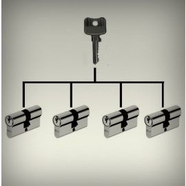 Service - profile cylinder adaption for equal locking system
