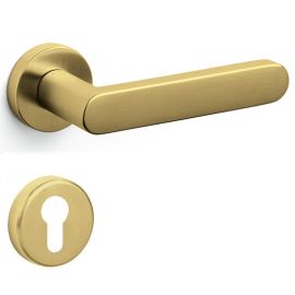 OLIVARI LINK M200 rokturu/rozešu garnitūra PZ, zelta tonis satinēts PVD (TS)