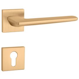 Rokturu garnitūra ar kantainām rozetēm AS LUNARIA Q