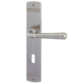 Durvju rokturis SCARLET-LS