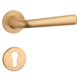 Rokturu garnitūra ar apaļām rozetēm AS TULIPA R