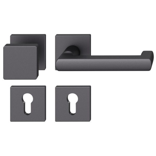 FSB 79 1031 rokturpogas grt. ar kantainām PZ rozetēm ugunsdrošām evakuācijas durvīm, alumīnijs melns graudaini matēts S8, LABĀ