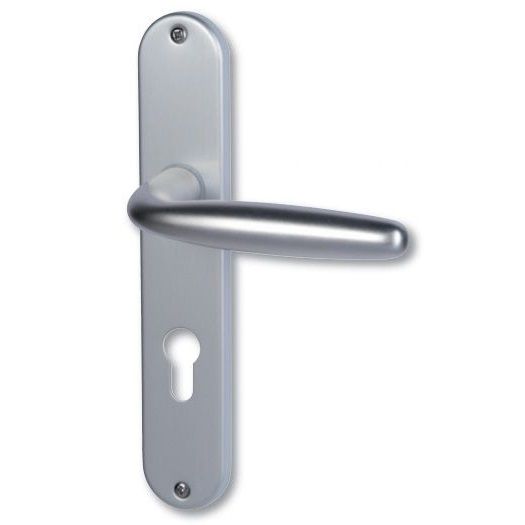 ARENA-Ls gandle set with backplates WC, matt nickel