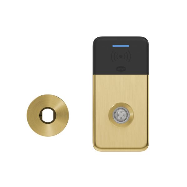 VOYAGER BILLY access control set without handles, 4xAAA, with inner rose, gold PVD (TG) / black