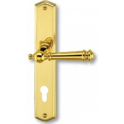 Mount Everest-LS door handle with PZ backplates, polished brass MP