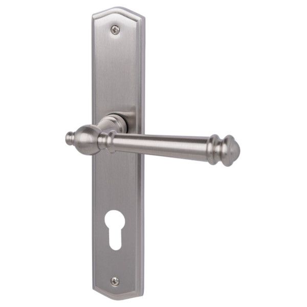 Mount Everest-LS  door handle with PZ backplates, brass matt stainless steel look NTM