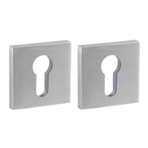 Roses PZ IN.04.29Q.Y08NN, st.steel