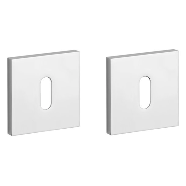 BB kantainas rozetes 53x53mm, biezums 7mm, pulēti hromēts